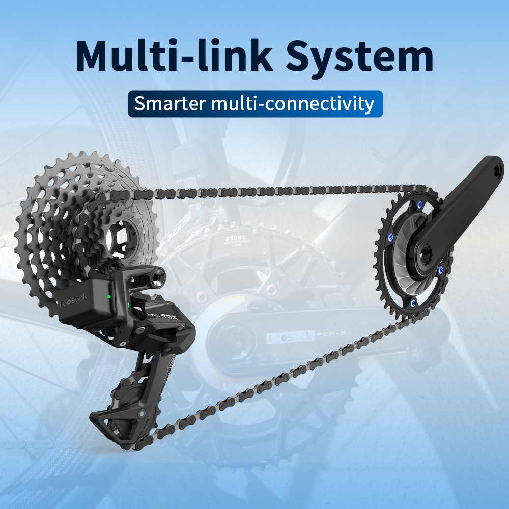 LEOSEEK อุปกรณ์วัดกำลังปั่นจัก - Spider Power Meter 110 Bcd บทวิจารณ์และราคา