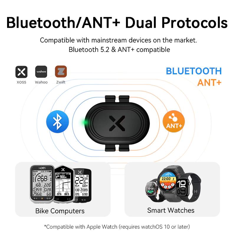 เซ็นเซอร์วัดความเร็วและจังหวะก - Cycling Cadence Sensor Bluetooth Ant บทวิจารณ์และราคา