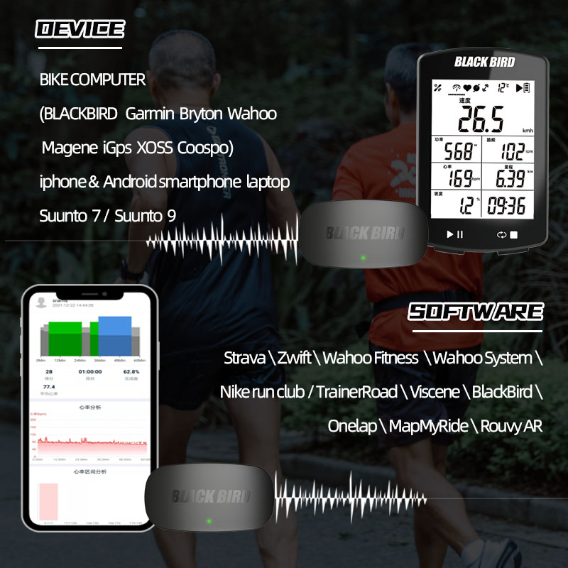 เซ็นเซอร์วัดอัตราการเต้นของหัว - Heart Rate Monitor Chest Strap Ant+ บทวิจารณ์และราคา